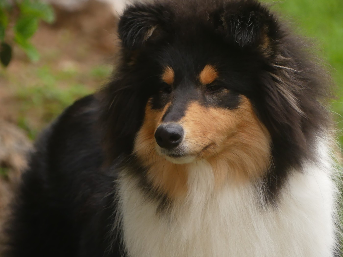 African queen clos de sea-wind