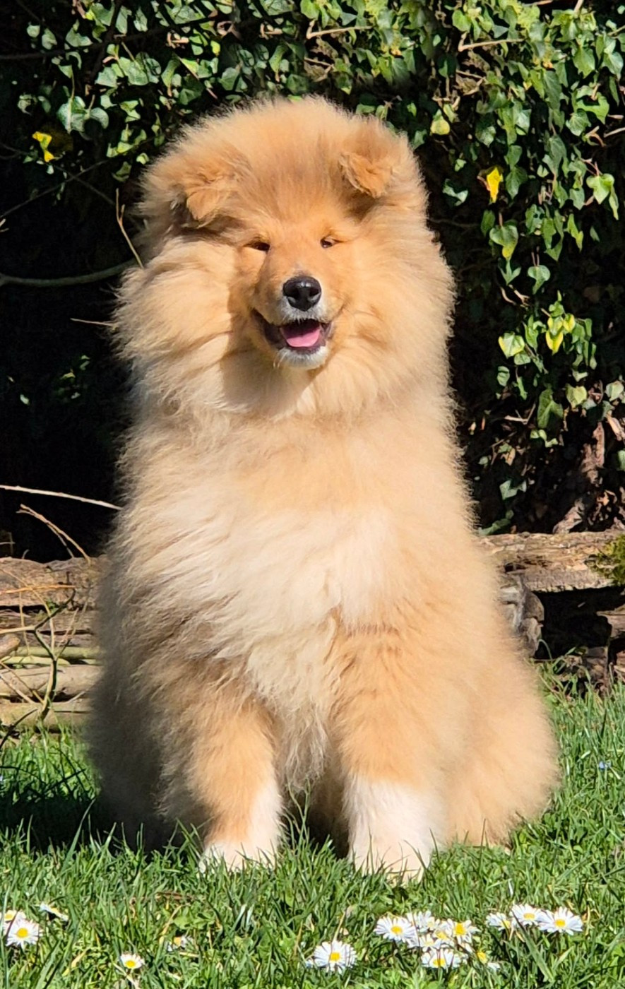 ALL MY MIND Du clos de sea-wind